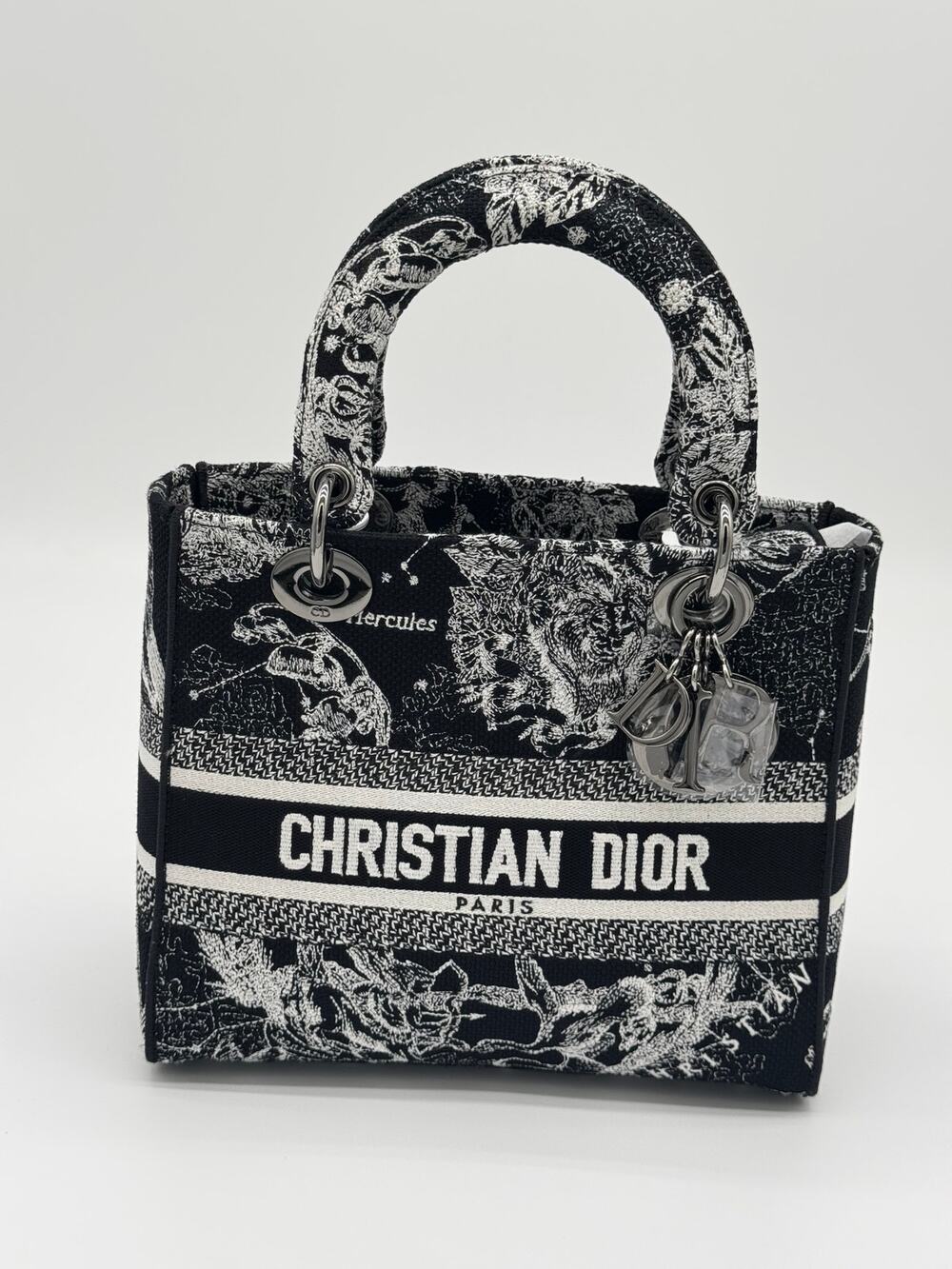 Christian Dior Medium Lady D‑Lite Zodiac Embroidered Bag
